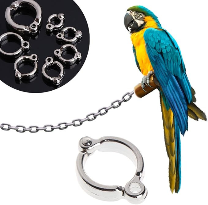 Parrot Ankle Chain