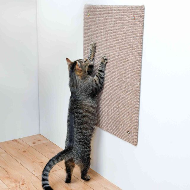 Trixie Scratching Board XXL – 50 × 70 cm