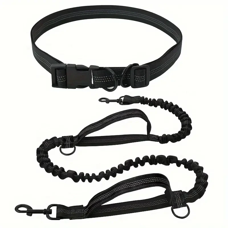 Pet Running Leash with Outdoor Sports Belt