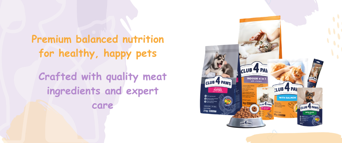 PetLoom Store promo