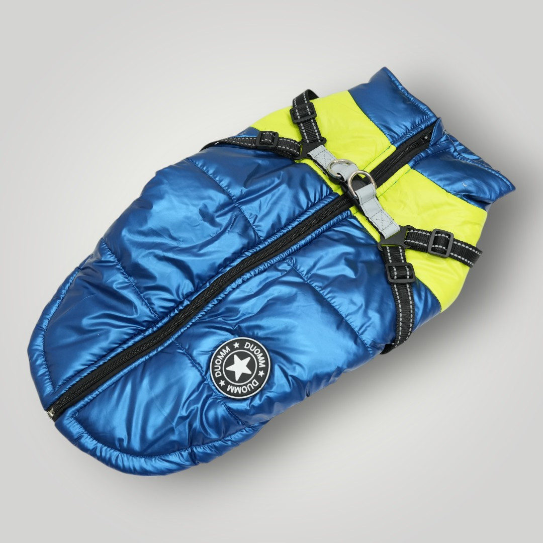Waterproof Winter Jackets for Both Dogs & Cats Blue and Yellow