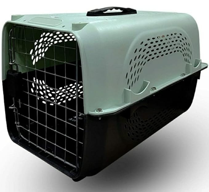Pet Travel Carrier Green & Black