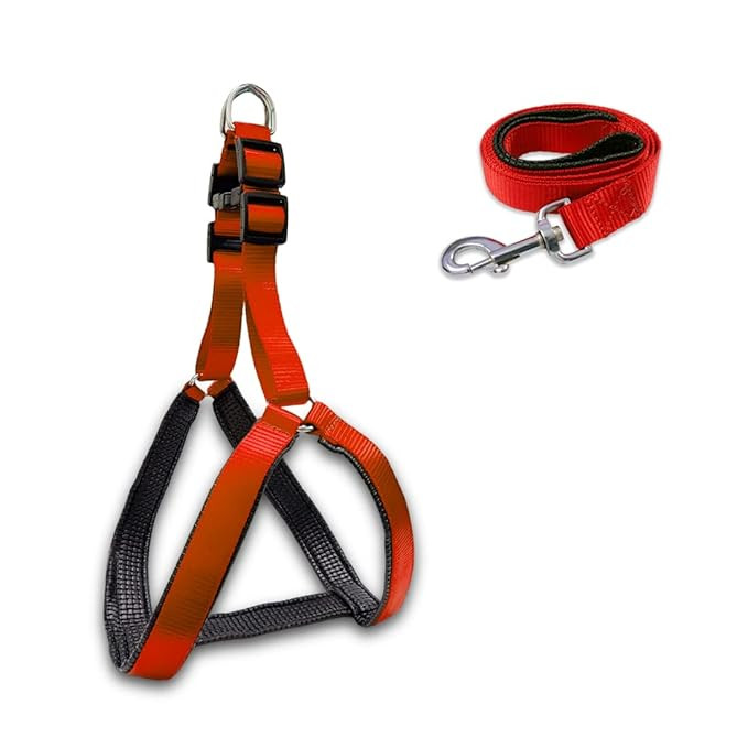 Stylish and Practical Dog Harness Leash Set