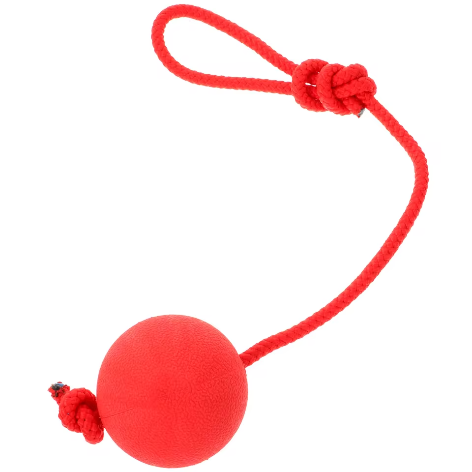 Durable Rubber Ball with Rope – Interactive Dog Toy