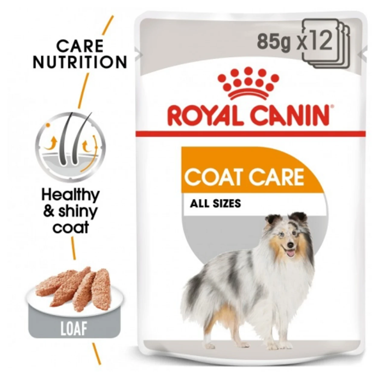 Royal Canin Coat Care Loaf Wet Dog Food