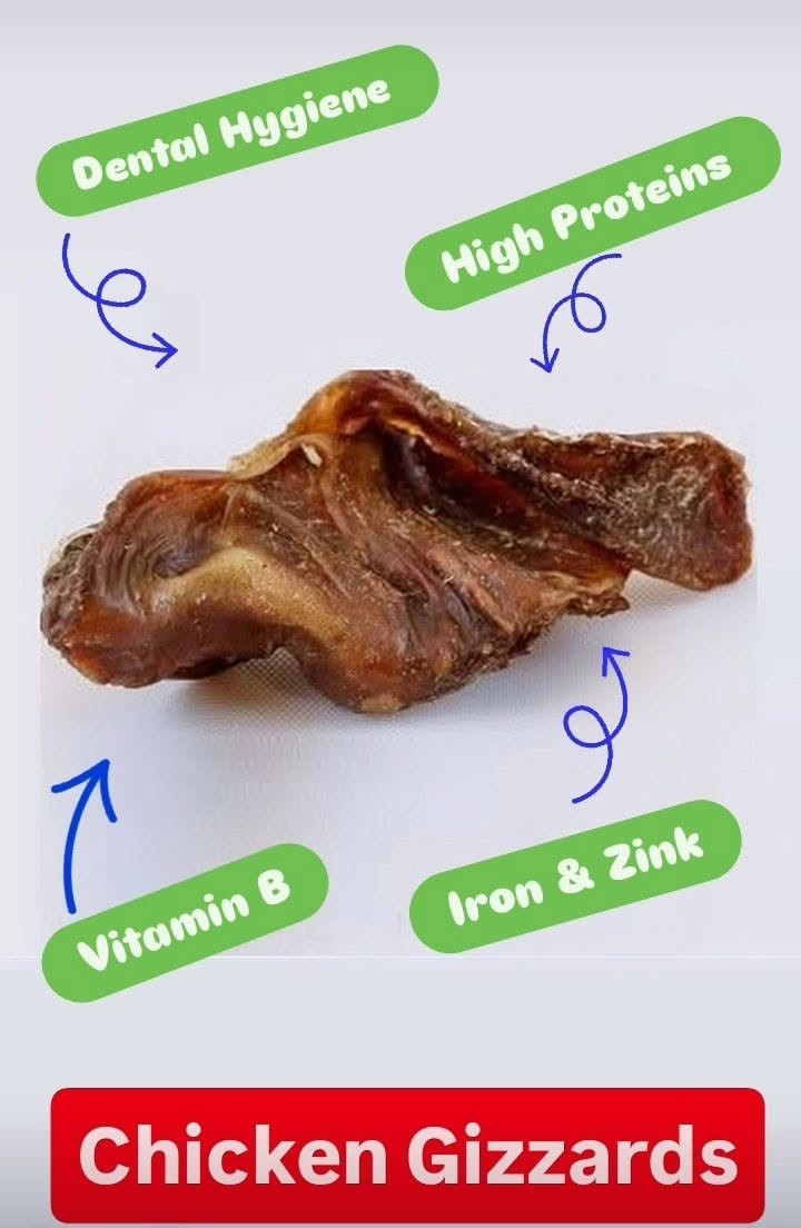 Chicken Gizzards for Dogs & Cats