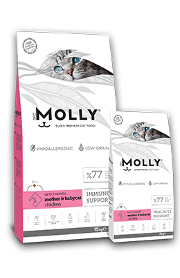 Molly Mother & Babycat Food with Chicken