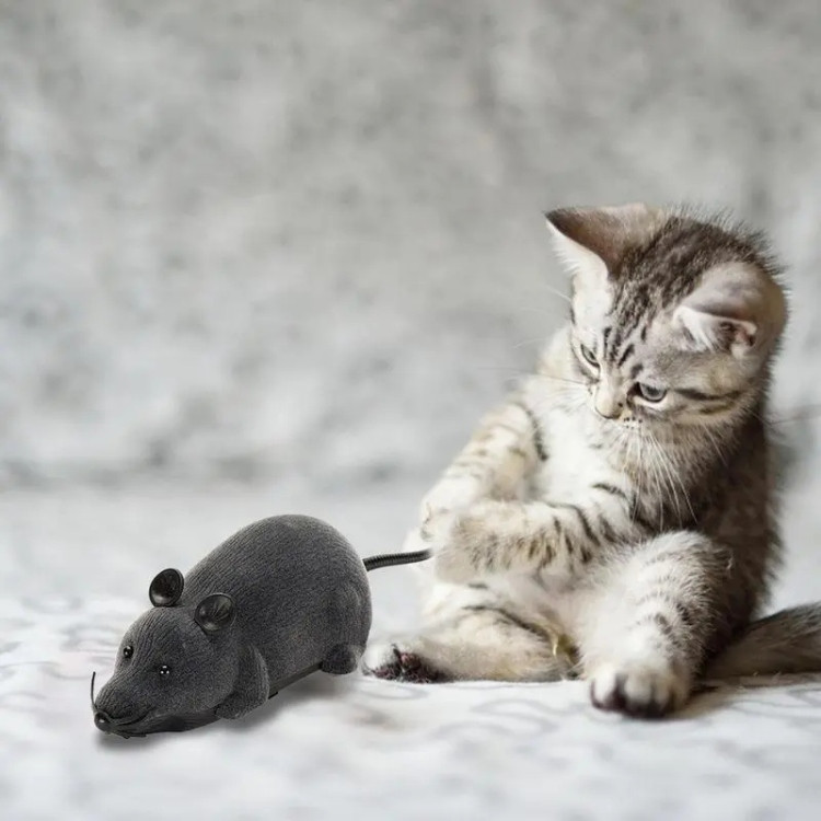 Wind-Up Mouse Toy for Cats – Realistic Interactive Fun