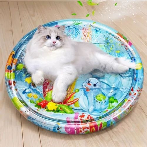 Interactive Water Play Mat for Cats