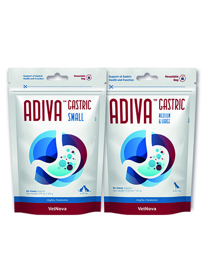 VetNova ADIVA Gastric Small