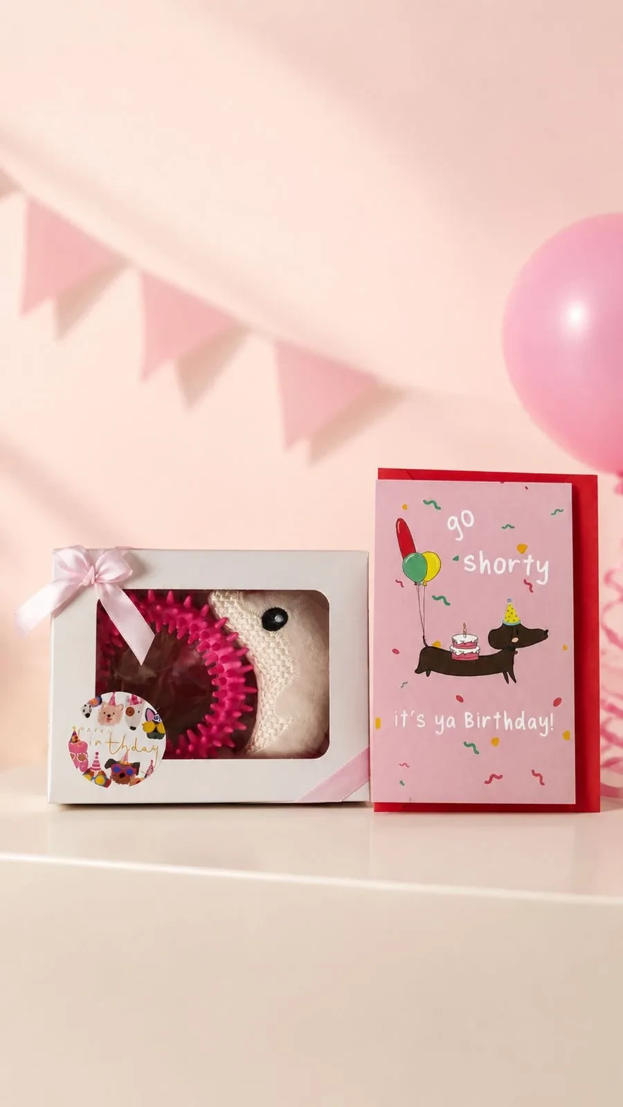 Dog Birthday Gift Set