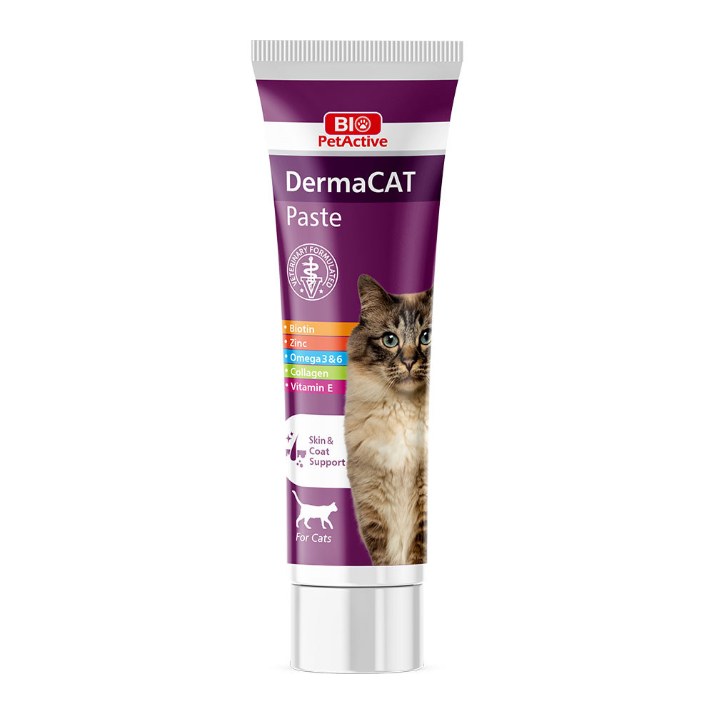 Bio PetActive DermaCAT Paste – Skin & Coat Support Paste for Cats