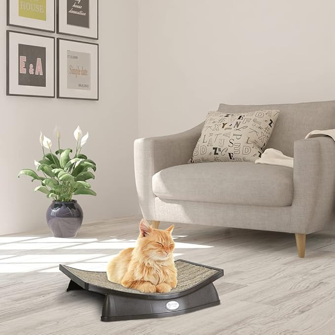 Omega Paw Lazy Lounger – 13.97 × 19.56 × 3.05 cm